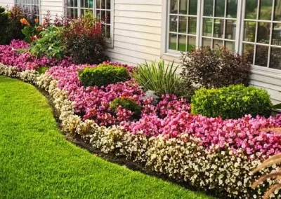 Affordable landscaping service