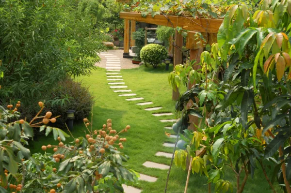 Backyard Landscaping